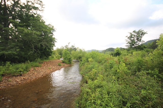 110ACRES Bivens Rd, Tellico Plains, TN 37385 - photo 7