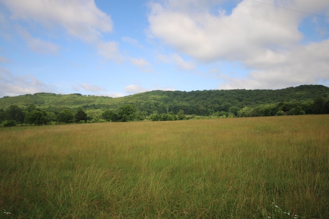 110ACRES Bivens Rd, Tellico Plains, TN 37385 - photo 4