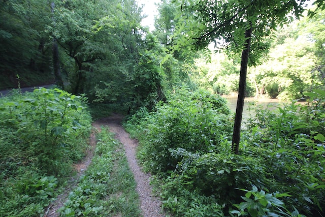 110ACRES Bivens Rd, Tellico Plains, TN 37385 - photo 10