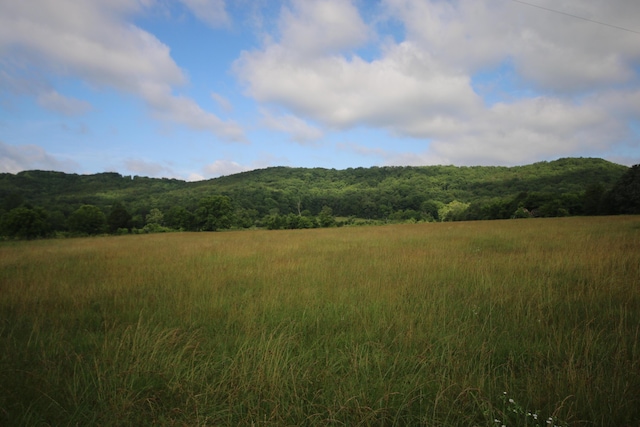 110ACRES Bivens Rd, Tellico Plains, TN 37385 - photo 2