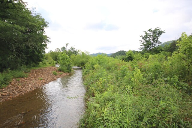 110ACRES Bivens Rd, Tellico Plains, TN 37385 - photo 6