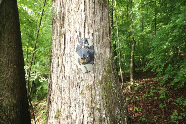 110ACRES Bivens Rd, Tellico Plains, TN 37385 - photo 20