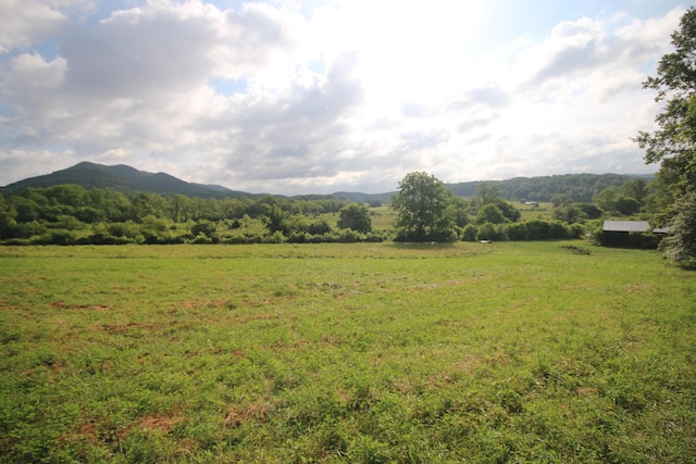 110ACRES Bivens Rd, Tellico Plains, TN 37385 - photo 14