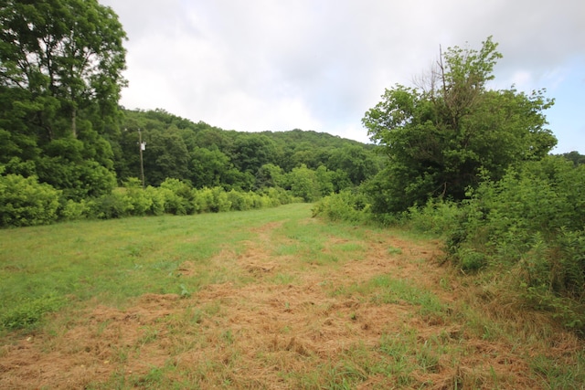 110ACRES Bivens Rd, Tellico Plains, TN 37385 - photo 18