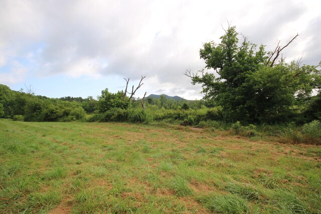 110ACRES Bivens Rd, Tellico Plains, TN 37385 - photo 17