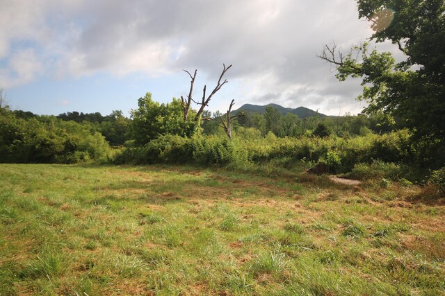 110ACRES Bivens Rd, Tellico Plains, TN 37385 - photo 11