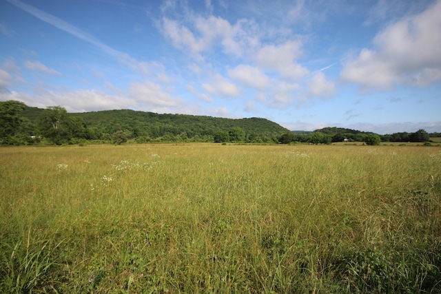 110ACRES Bivens Rd, Tellico Plains, TN 37385 - photo 1