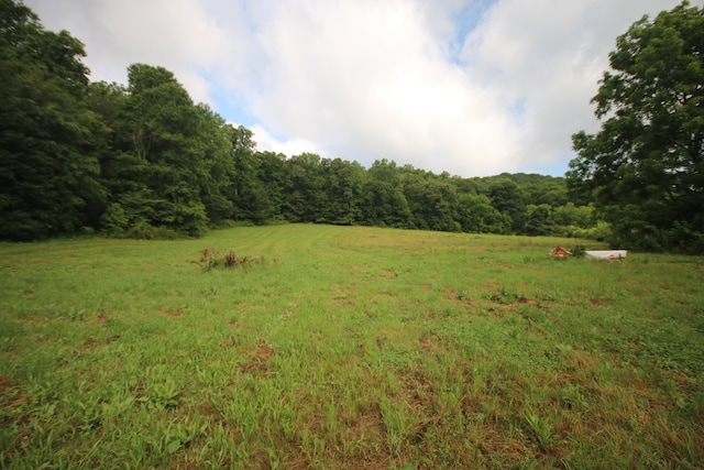 110ACRES Bivens Rd, Tellico Plains, TN 37385 - photo 15