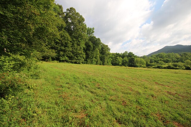110ACRES Bivens Rd, Tellico Plains, TN 37385 - photo 12