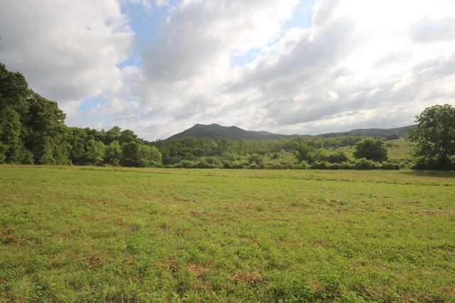 110ACRES Bivens Rd, Tellico Plains, TN 37385 - photo 13