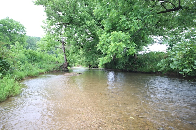 110ACRES Bivens Rd, Tellico Plains, TN 37385 - photo 5