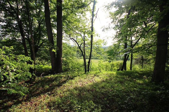110ACRES Bivens Rd, Tellico Plains, TN 37385 - photo 23