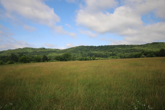 110ACRES Bivens Rd, Tellico Plains, TN 37385 - photo 3
