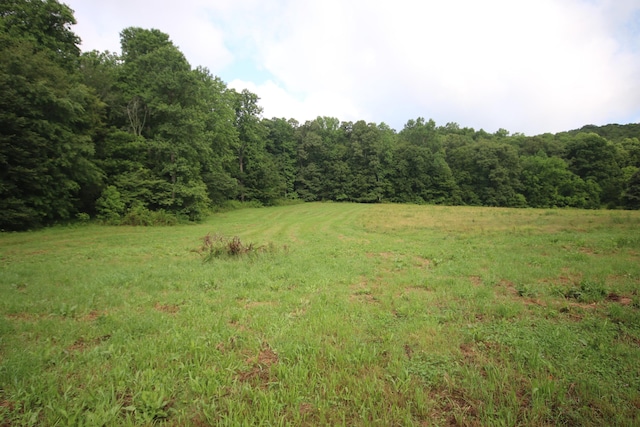 110ACRES Bivens Rd, Tellico Plains, TN 37385 - photo 16