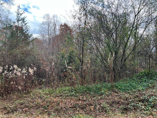 000 County Road 24, Calhoun TN, 37309 land for sale