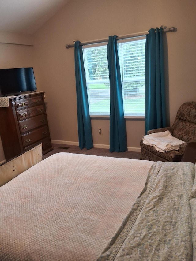 170 Courtyard Ln NE, Cleveland, TN 37312 - carpeted bedroom with baseboards and vaulted ceiling