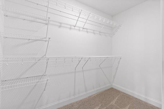 walk in closet with carpet