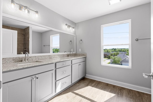 bathroom with vanity and hardwood / wood-style flooring