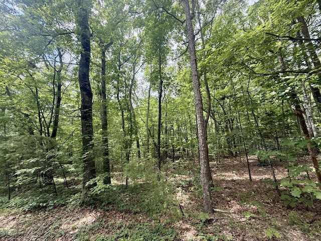 18.69AC Windridge Dr, Dunlap, TN 37327 - photo 21