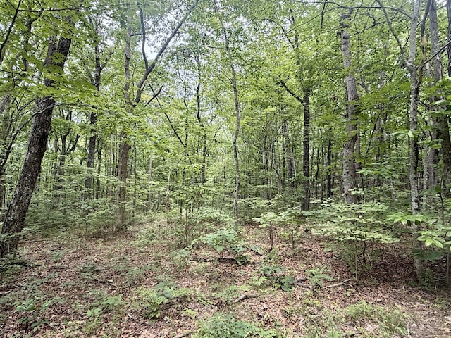 18.69AC Windridge Dr, Dunlap, TN 37327 - photo 15
