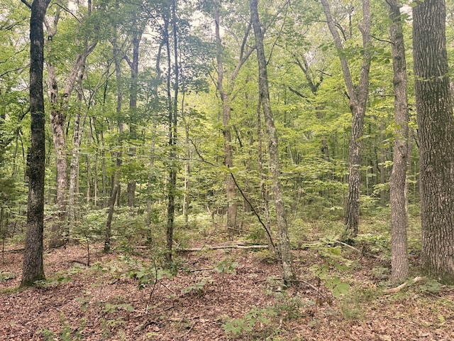 18.69AC Windridge Dr, Dunlap, TN 37327 - photo 16