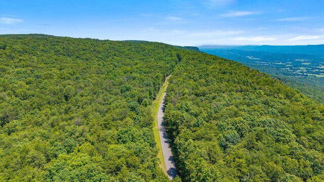 18.69AC Windridge Dr, Dunlap, TN 37327 - photo 3