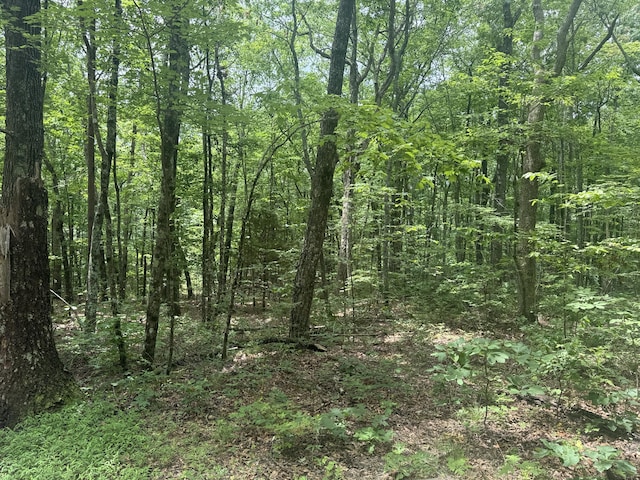18.69AC Windridge Dr, Dunlap, TN 37327 - photo 20