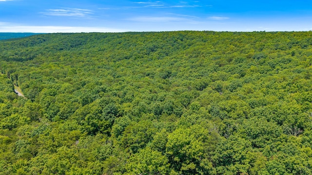 18.69AC Windridge Dr, Dunlap, TN 37327 - photo 7