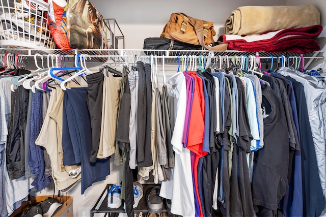 view of walk in closet