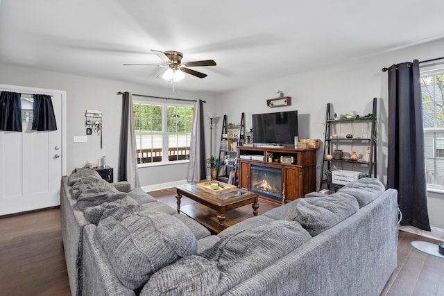 living room featuring a wealth of natural light, ceiling fan, and dark hardwood / wood-style floors