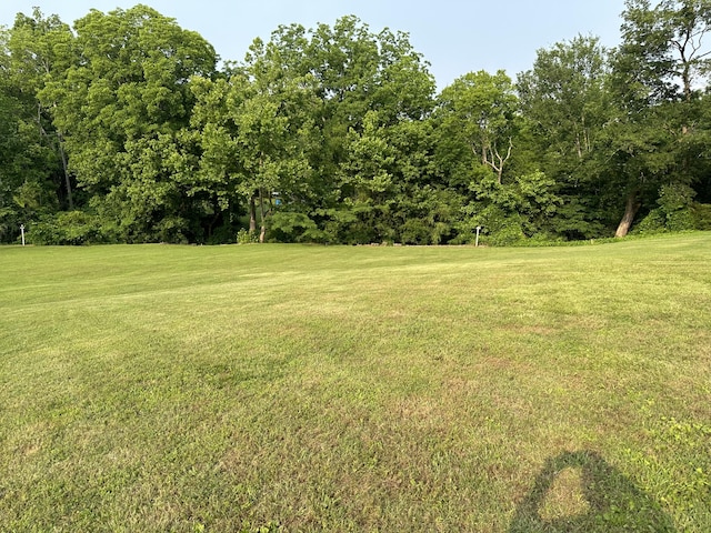 1785 Benton Station Rd, Benton, TN 37307 - view of grassy yard