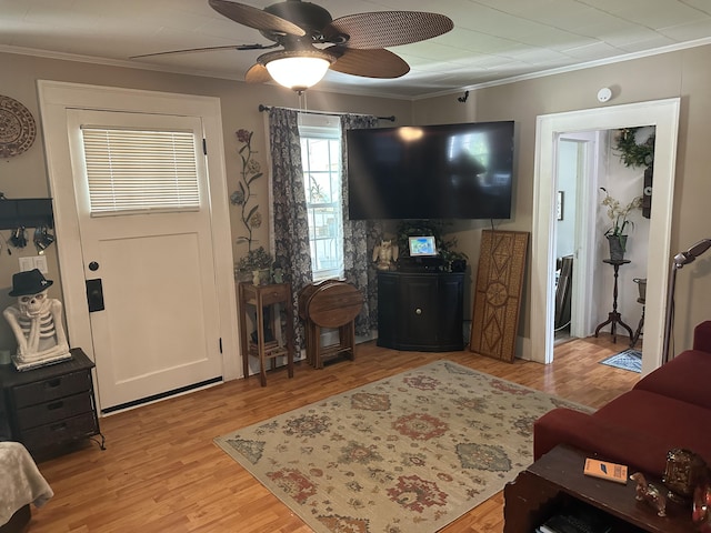 1785 Benton Station Rd, Benton, TN 37307 - living area featuring ornamental molding, ceiling fan, and light wood finished floors