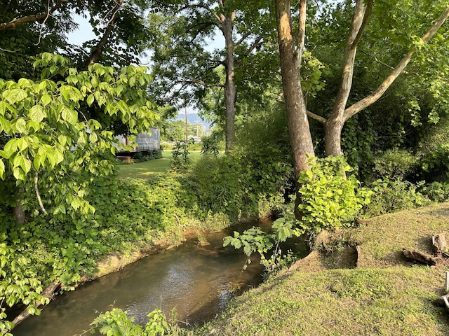 1785 Benton Station Rd, Benton, TN 37307 - view of yard