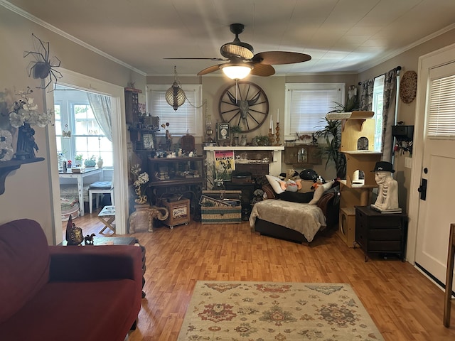 1785 Benton Station Rd, Benton, TN 37307 - living area featuring a ceiling fan, wood finished floors, crown molding, and plenty of natural light