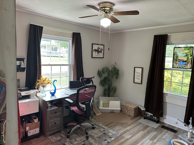 1785 Benton Station Rd, Benton, TN 37307 - office featuring crown molding, light wood-style flooring, a textured ceiling, and a ceiling fan