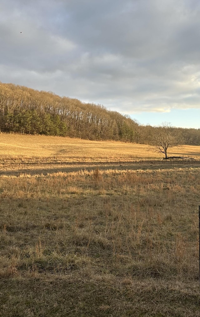 view of yard with a rural view