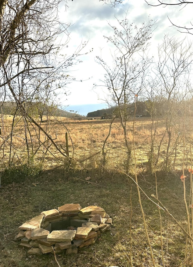 view of yard with a rural view