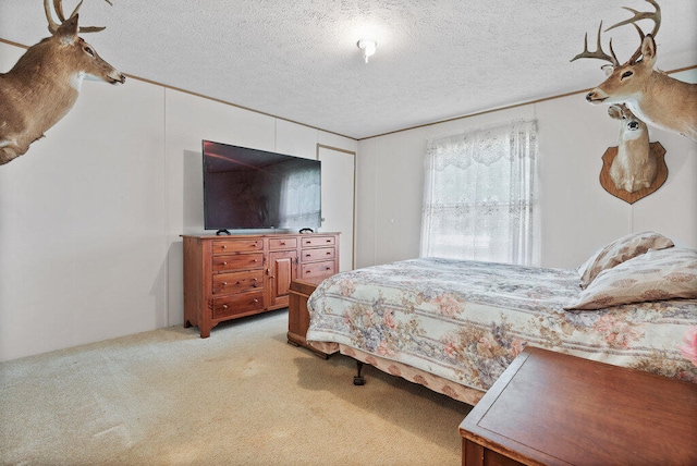 carpeted bedroom with a textured ceiling