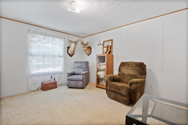 living area featuring a textured ceiling and carpet floors