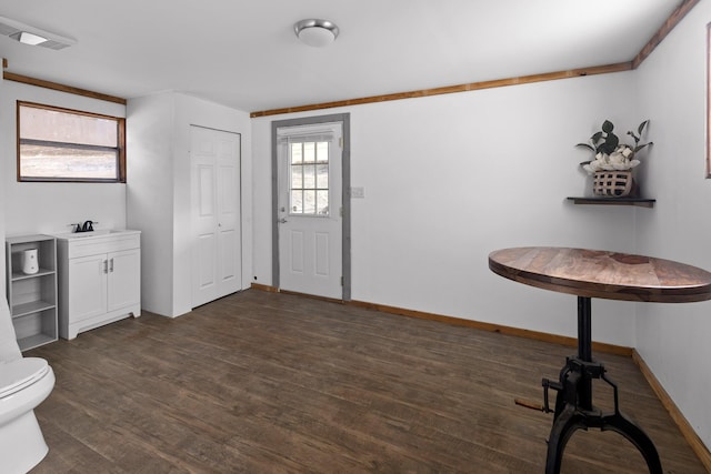 foyer featuring sink and dark wood-type flooring