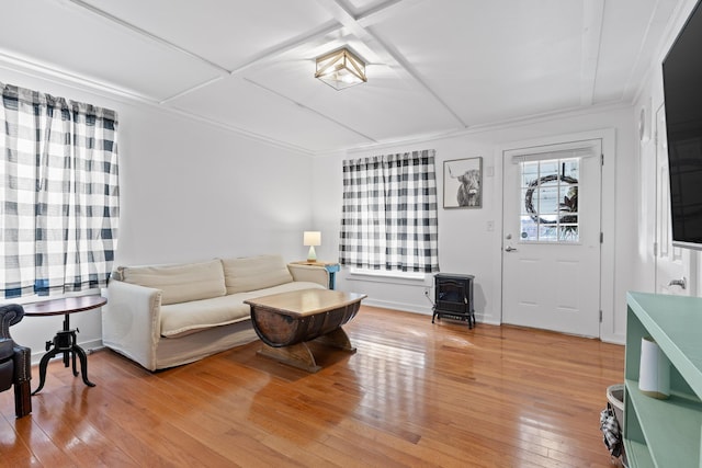 living room featuring a wood stove and hardwood / wood-style floors