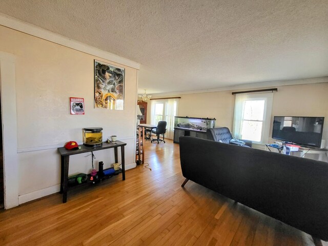 607 Chestuee St, Englewood, TN 37329 - photo 14