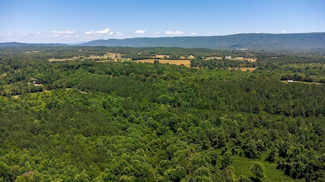 TRACT4 County Road 783, Etowah, TN 37331 - photo 3