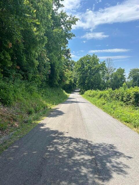 TRACT4 County Road 783, Etowah, TN 37331 - photo 5