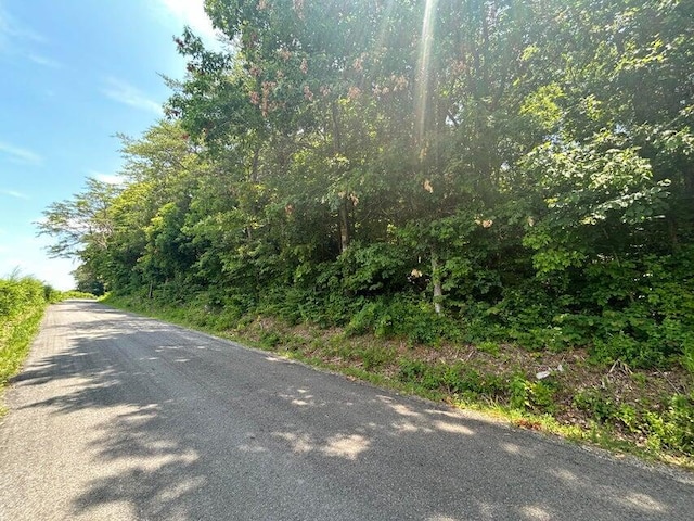 TRACT4 County Road 783, Etowah, TN 37331 - photo 6