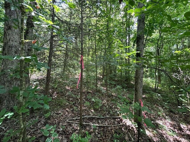 TRACT4 County Road 783, Etowah, TN 37331 - photo 4