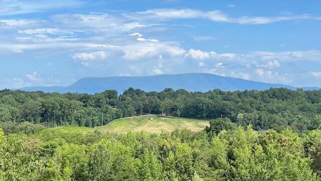 416 County Road 754, Riceville, TN 37370 - photo 85