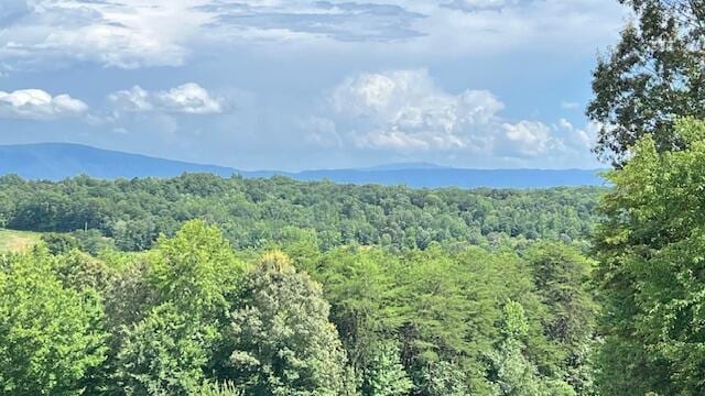 416 County Road 754, Riceville, TN 37370 - photo 82