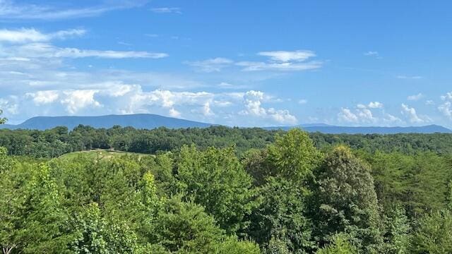 416 County Road 754, Riceville, TN 37370 - photo 84