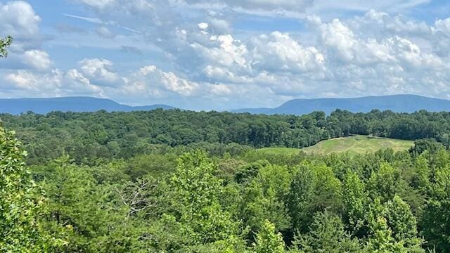 416 County Road 754, Riceville, TN 37370 - photo 79